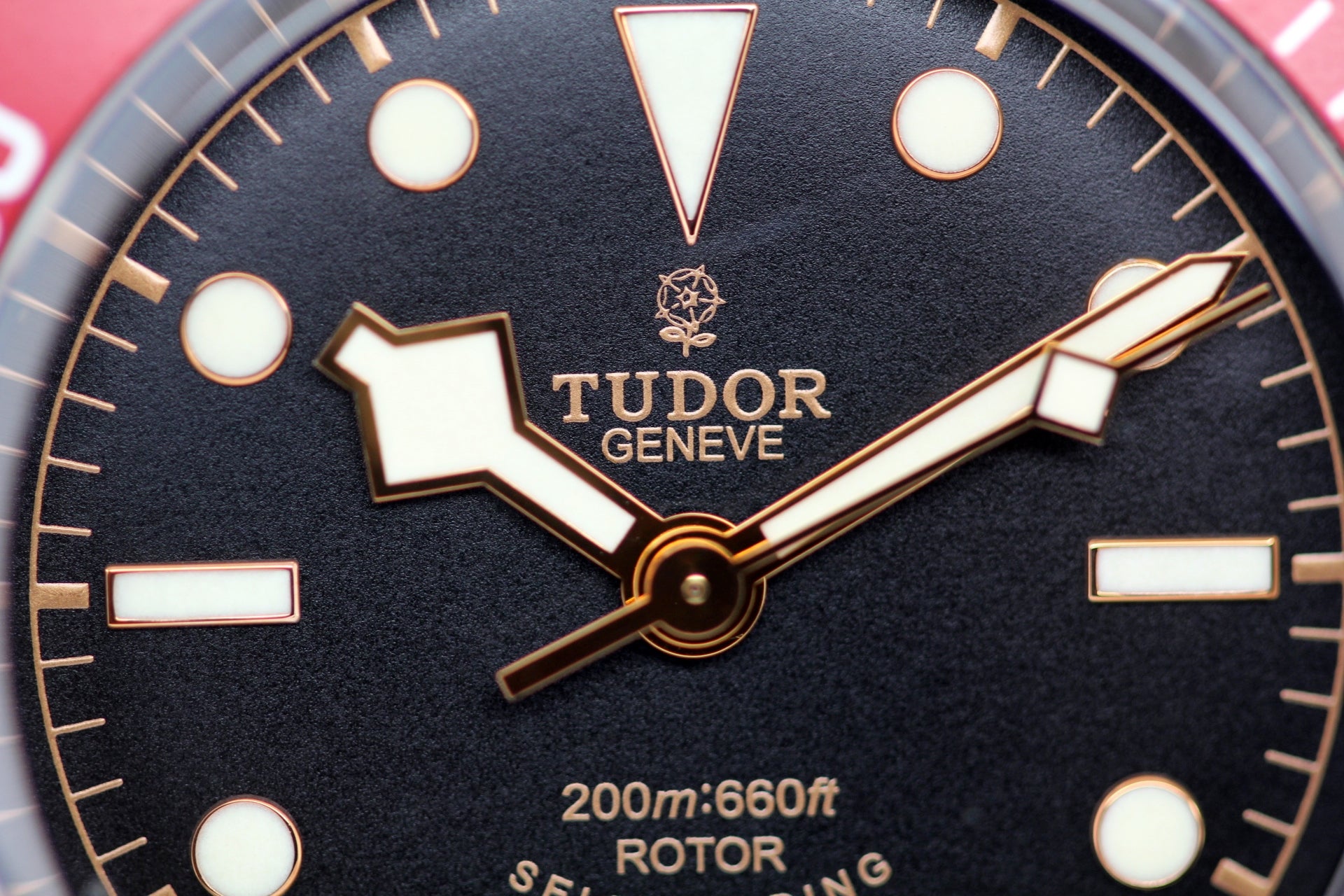 TUDOR Black Bay Ref.79220