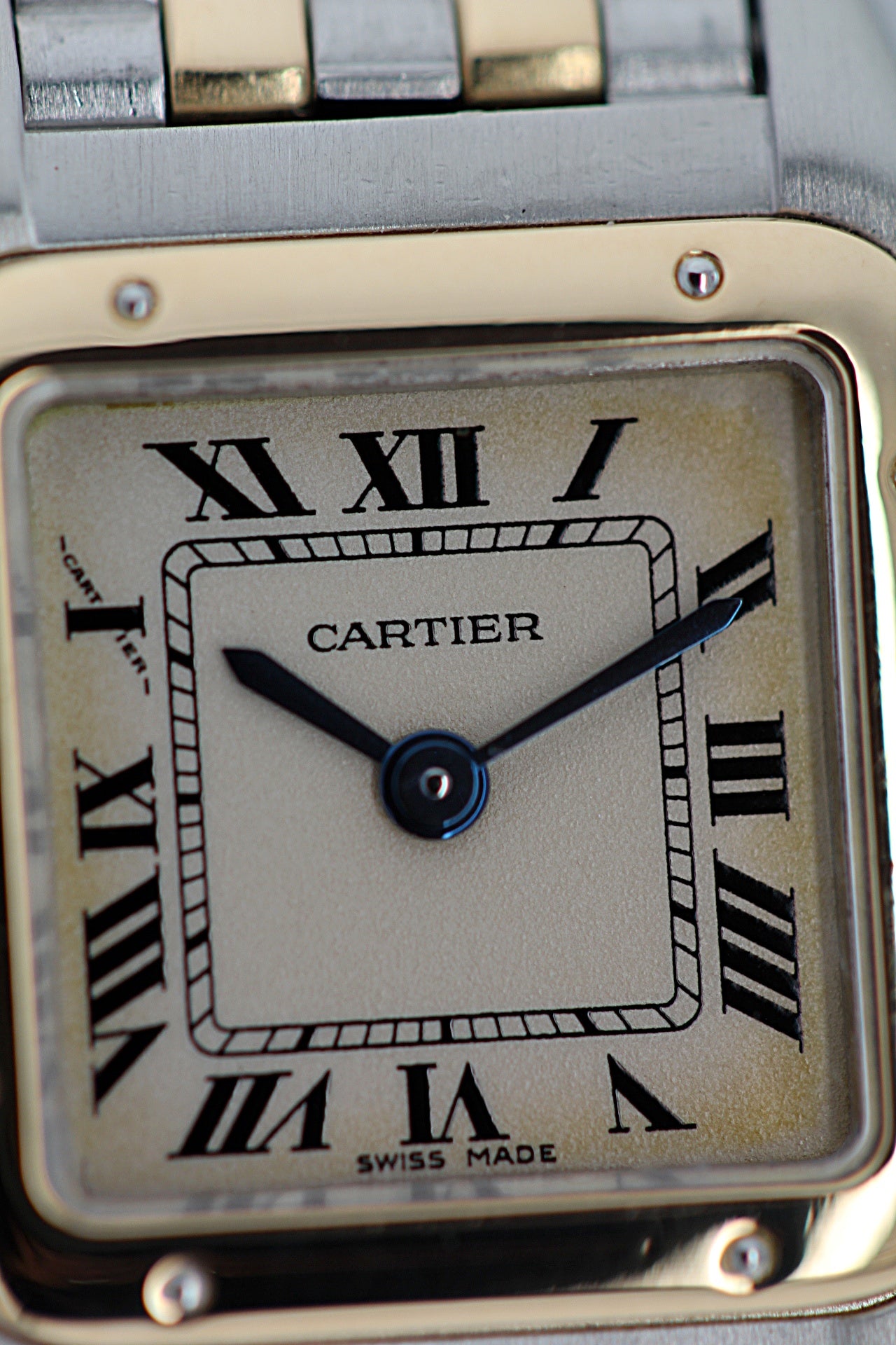 CARTIER Panthere Lady "Two Rows" Ref.1057917